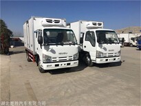 厂家石家庄市小型冷藏车 五十铃KV100国六冷藏车 保鲜运输图片0