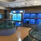 深圳二层组缸玻璃鱼缸尺寸图