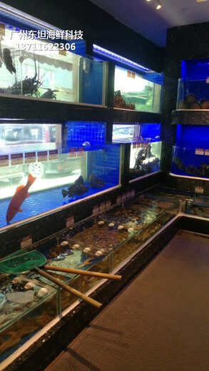 广州白云海鲜鱼池图片 玻璃海鲜池 欢迎来电咨询