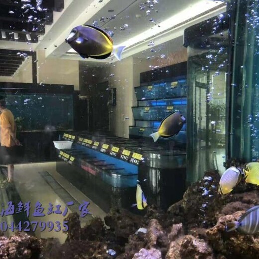 深圳市场玻璃鱼缸品牌 海鲜市场玻璃鱼池 海鲜池摆放