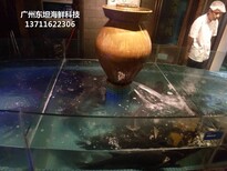 东莞黄江海鲜鱼缸价格 不锈钢海鲜池 欢迎来电了解图片0