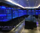 江门饭店玻璃鱼缸设计图片 海鲜火锅店鱼池 海鲜池摆放图片