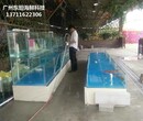 广州定做酒店海鲜池 海鲜市场玻璃鱼池 欢迎在线咨询