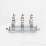 gn19-12c户内高压隔离开关GN19-10kv/400-630A柜内隔离开关浙江福祥瑞特电气图片0