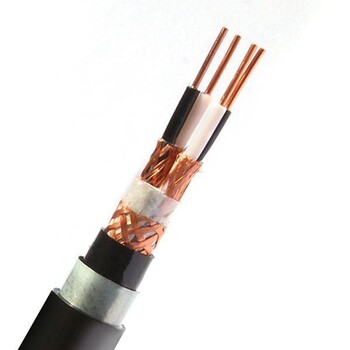 计算机电缆线厂家DJVVP2铜芯