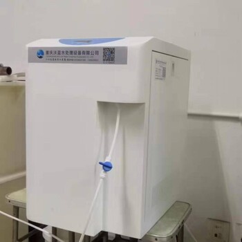 供應(yīng)LWD10/60型實(shí)驗(yàn)室兩級(jí)反滲透型超純水機(jī)
