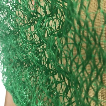 塑料三维植被网的克重 云南三维土工网垫生产厂家