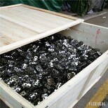 50型号316L鲍尔环304鲍尔环现货供应或定制 为客户定制异型鲍尔环图片0