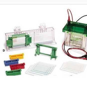 美国bio-rad伯乐165-8001Mini-ProteanTetra小型垂直电泳槽