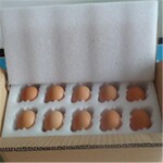 貴州誠輝EPE廠家專業供應禽蛋包裝專用EPE珍珠棉