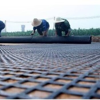 滨州土工格栅款式,钢塑土工格栅