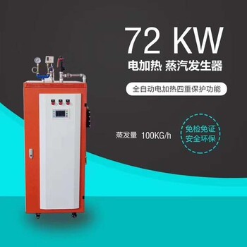 144kw电蒸汽发生器