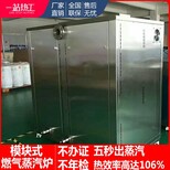 全自动天然气蒸汽锅炉 小型商用工业液化气燃气蒸汽发生器图片0