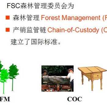 FSC认证代办 fsc认证一对一上门指导