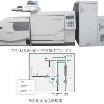 热脱附-气相色谱-质谱联用法（TD-GC-MS）测定整鞋中挥发性有机物（VOCs）的释放量