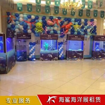 衡阳海狮表演一场价格 咨询厂家