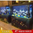 湘潭海洋生物展览效果图 房地产楼盘活动图片