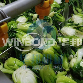 上海热门蔬菜漂烫杀青设备批发代理