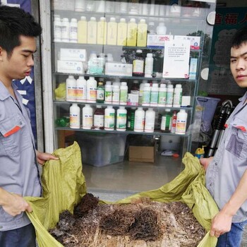 陵水白蚁防治服务