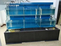 广州增城定做大排档海鲜鱼池 水产店制冷鱼池图片1