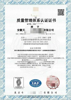 ISO9001质量管理体系机构