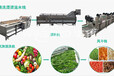 上海智能蔬菜漂烫杀青设备售后保障