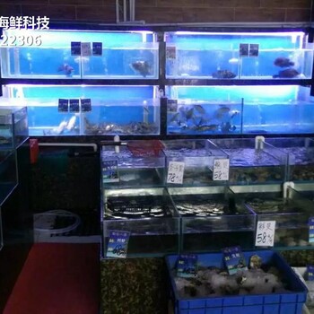 广州花都玻璃海鲜池尺寸 海鲜鱼缸