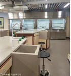 环境教学楼实验室台柜 生物化学实验室通风柜