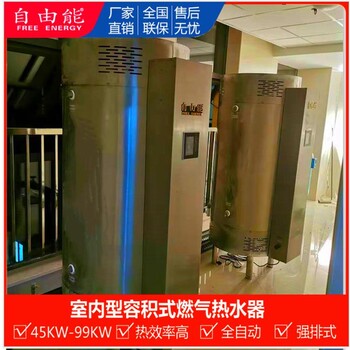 容积式燃气热水器 室内型燃气容积式锅炉 RSTDQ320-N99kw