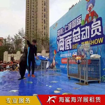 宜昌海狮表演 鱼缸鲨鱼展出租 厂家报价