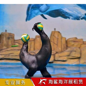 怀化海洋生物展览效果图 房地产楼盘活动