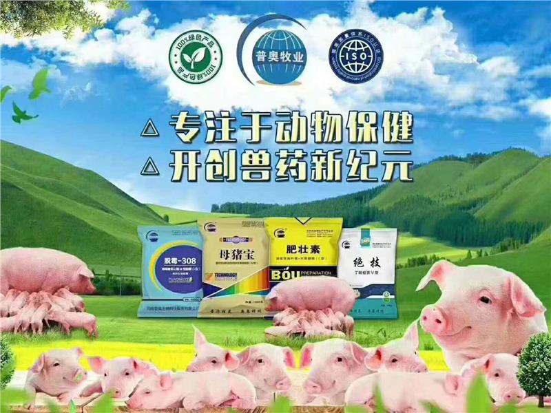北京母畜品牌