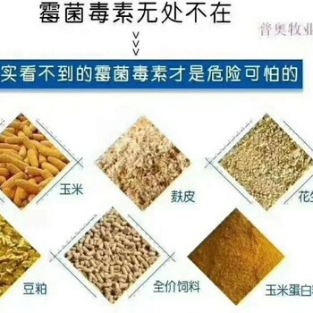 飼料脫霉價格 科學養(yǎng)殖 第五代生物脫霉劑