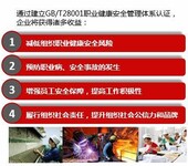 正规ISO45001认证培训 职业健康安全管理体系认证