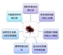 正规FSSC22000认证公司 HACCP认证图片