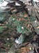 深圳镀金手机板回收 专业回收废手机板 东莞手机主板回收价格