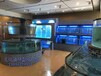 中山餐厅玻璃鱼缸制作方法 三组制冷海鲜池
