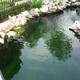 广州海鲜鱼池清洗消毒费用图