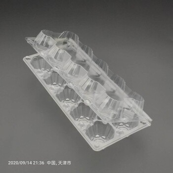 北京吸塑厂价10粒中号透明PET鸡蛋盒