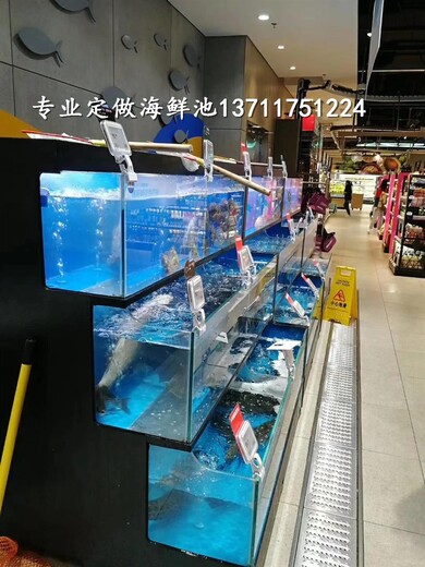 广州猎德玻璃海鲜池电话 海鲜酒吧海鲜池 在线免费咨询