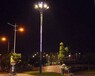 郴州北湖區玉蘭燈6米12米廠家報價便宜,景觀燈多少錢