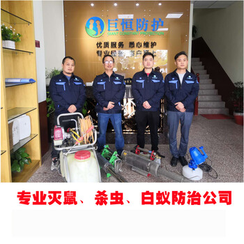 巨恒防护灭老鼠杀虫公司,广州市白蚁防治有限公司