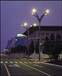 衡陽雁峰區玉蘭燈8米10米廠家報價樣式多,中華燈價格