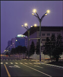 永州双牌县玉兰灯6米12米厂家报价便宜,广场景观灯生产厂家图片0