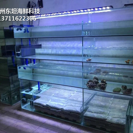 广州白云海鲜鱼池定做价格 海鲜鱼缸 欢迎来电洽谈
