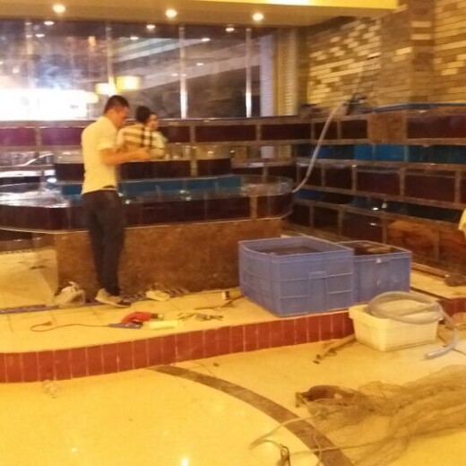 广州荔湾亚克力鱼缸清洗消毒 玻璃鱼缸护理