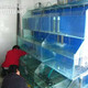中山玻璃海鲜池设备图