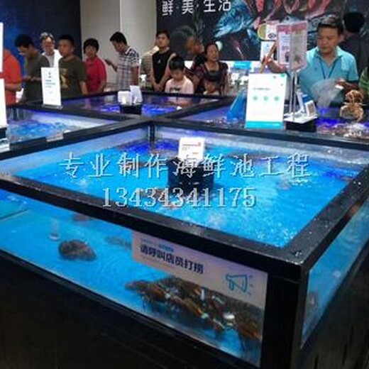 增城珠江星座定做海鲜鱼池 增城制冷鱼池 海鲜池抽水机