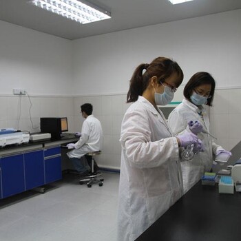 洁净实验室设计，微生物实验室装修