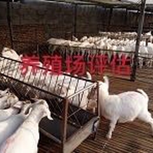 天津养猪场禁养强拆评估_肉牛养殖评估_征收养殖场评估